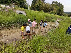 田植えの後の川辺の生き物探索