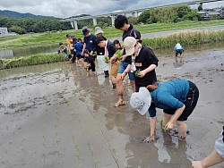田植え体験第2弾