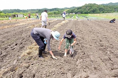 種まき